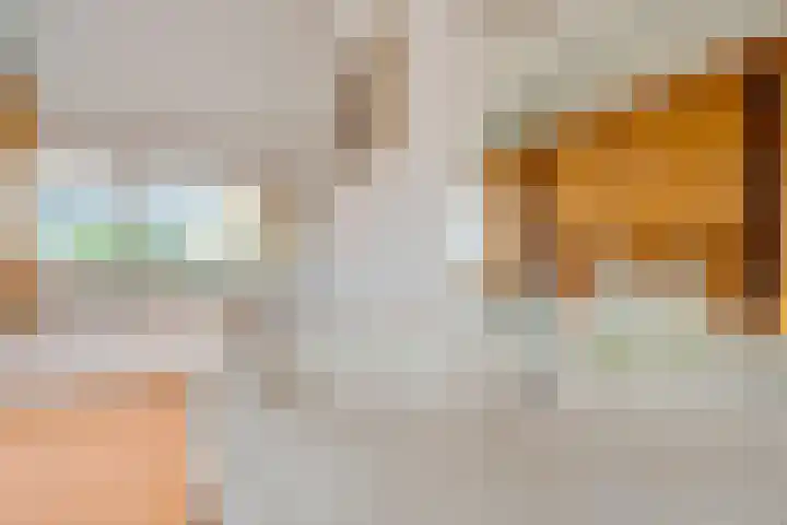 Patriottenland 79 Houten thumbnail 22