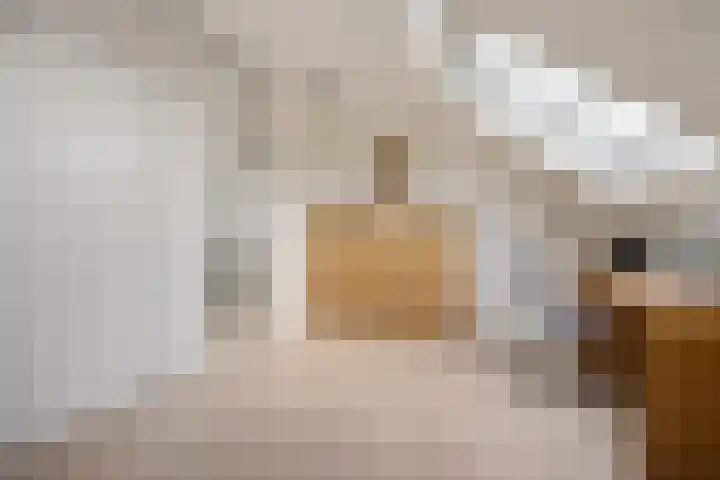 Patriottenland 79 Houten thumbnail 24