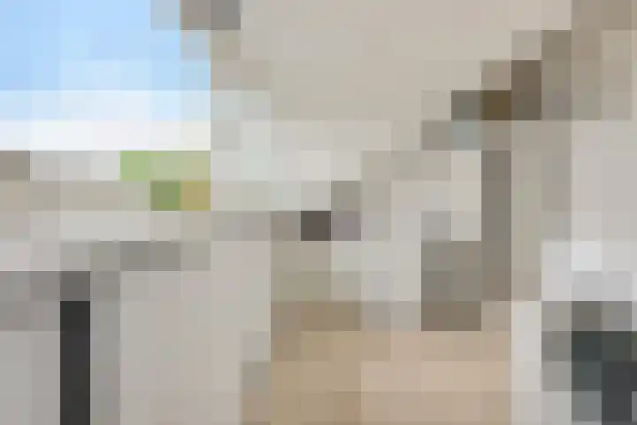 Patriottenland 79 Houten thumbnail 25