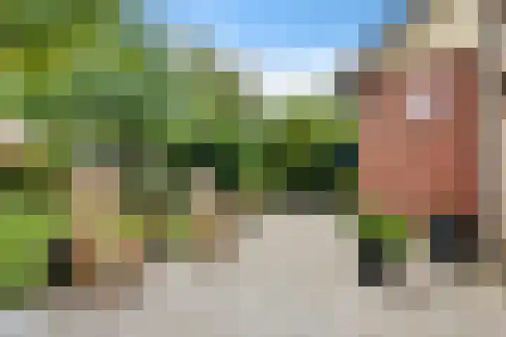 Patriottenland 79 Houten thumbnail 26