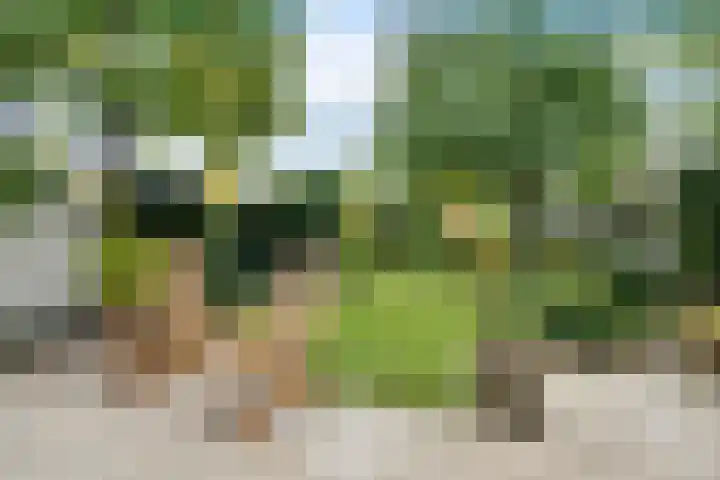 Patriottenland 79 Houten thumbnail 27