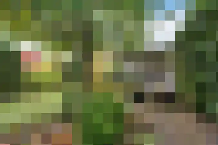 Patriottenland 79 Houten thumbnail 28