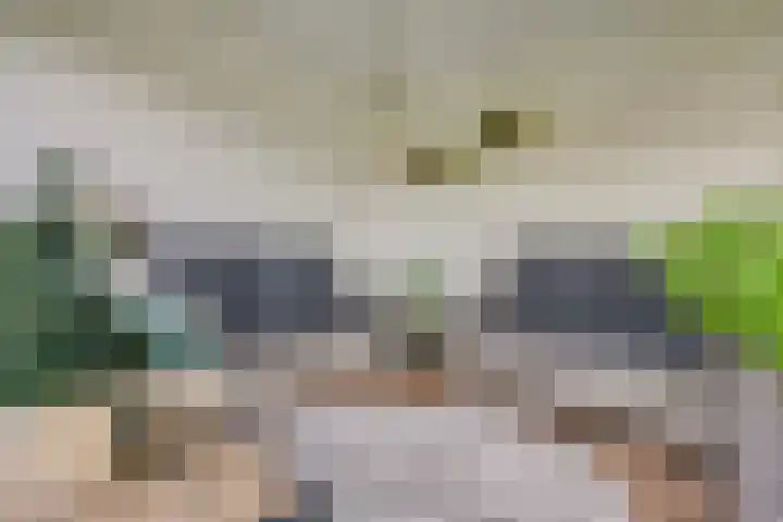 Patriottenland 79 Houten thumbnail 29