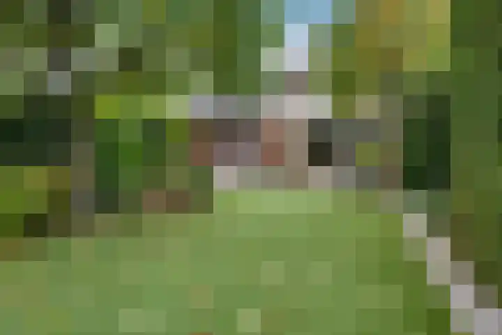 Patriottenland 79 Houten thumbnail 30