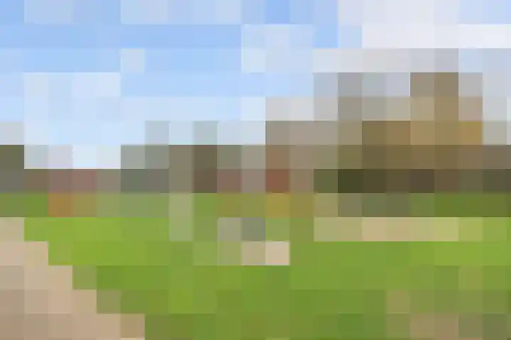 Patriottenland 79 Houten thumbnail 32