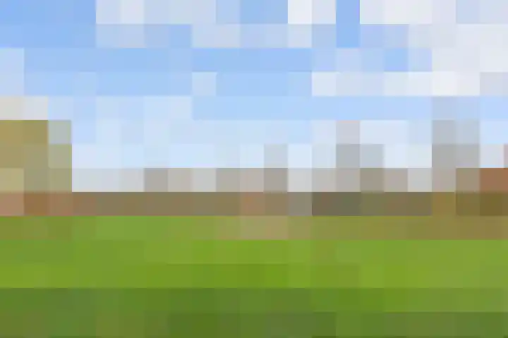Patriottenland 79 Houten thumbnail 34