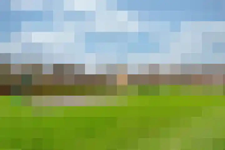 Patriottenland 79 Houten thumbnail 35
