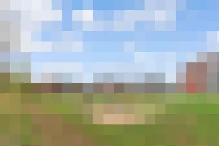 Patriottenland 79 Houten thumbnail 36
