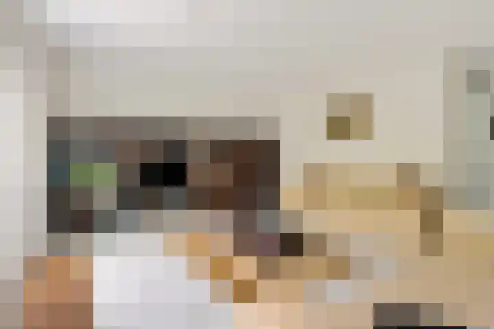Patriottenland 79 Houten thumbnail 4