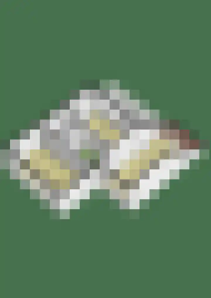 Patriottenland 79 Houten thumbnail 44