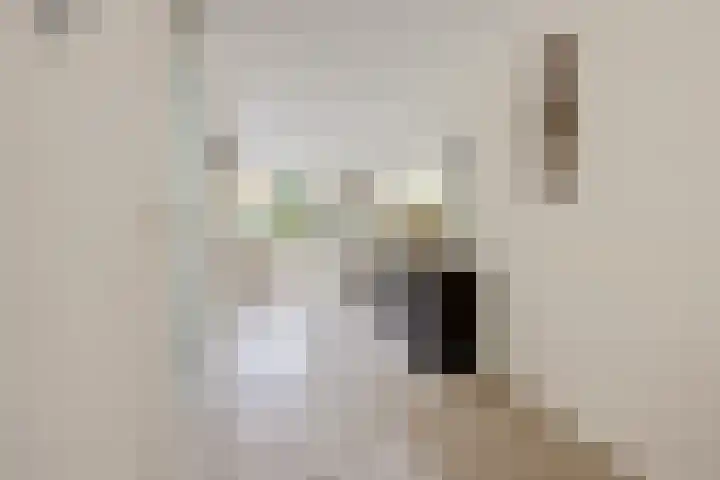 Patriottenland 79 Houten thumbnail 6