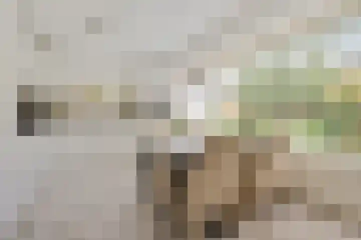 Patriottenland 79 Houten thumbnail 8