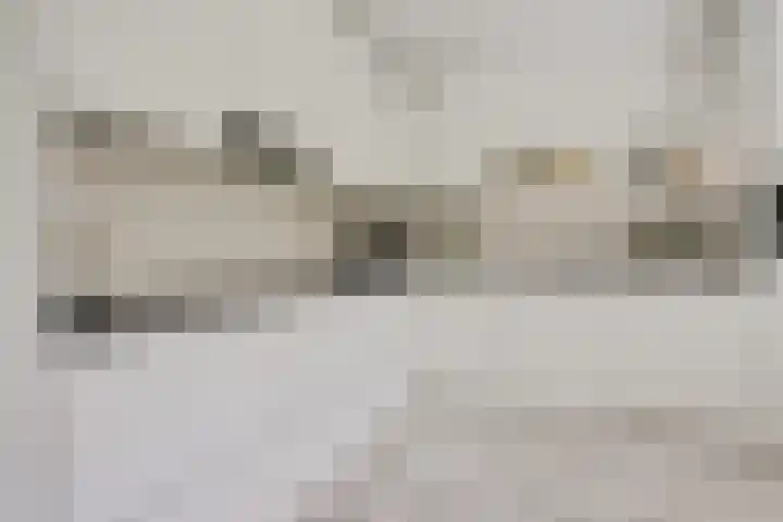 Patriottenland 79 Houten thumbnail 9