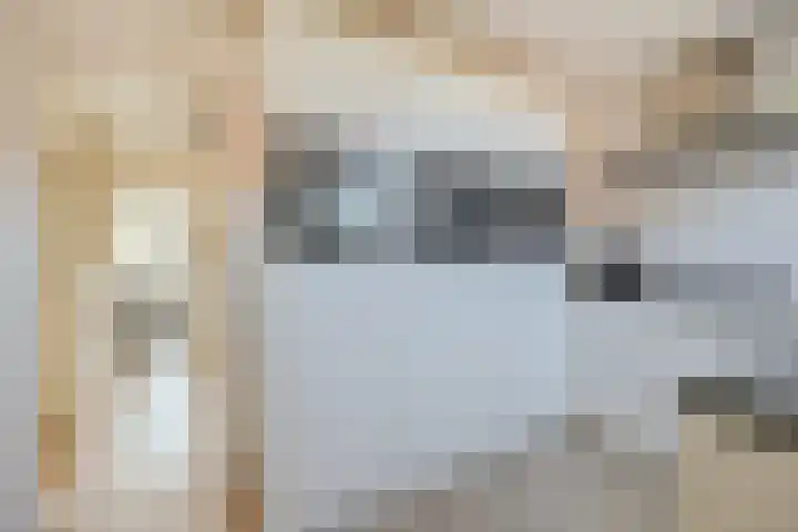 Patroclosstraat 1 1 Amsterdam thumbnail 10
