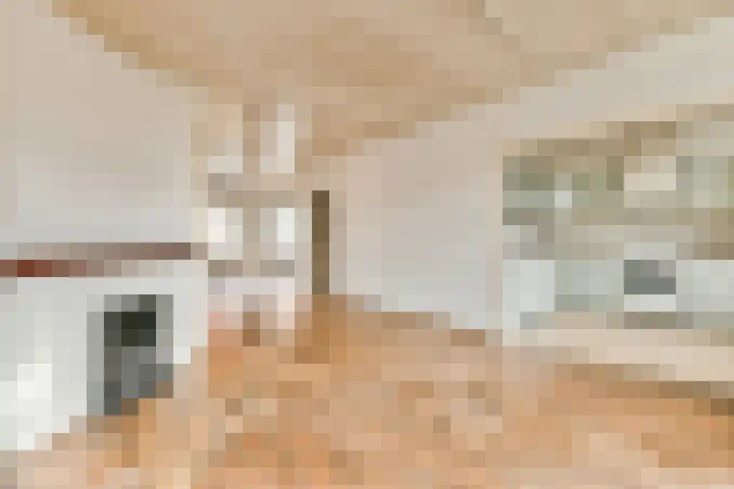 Patroclosstraat 16 1 Amsterdam thumbnail 8