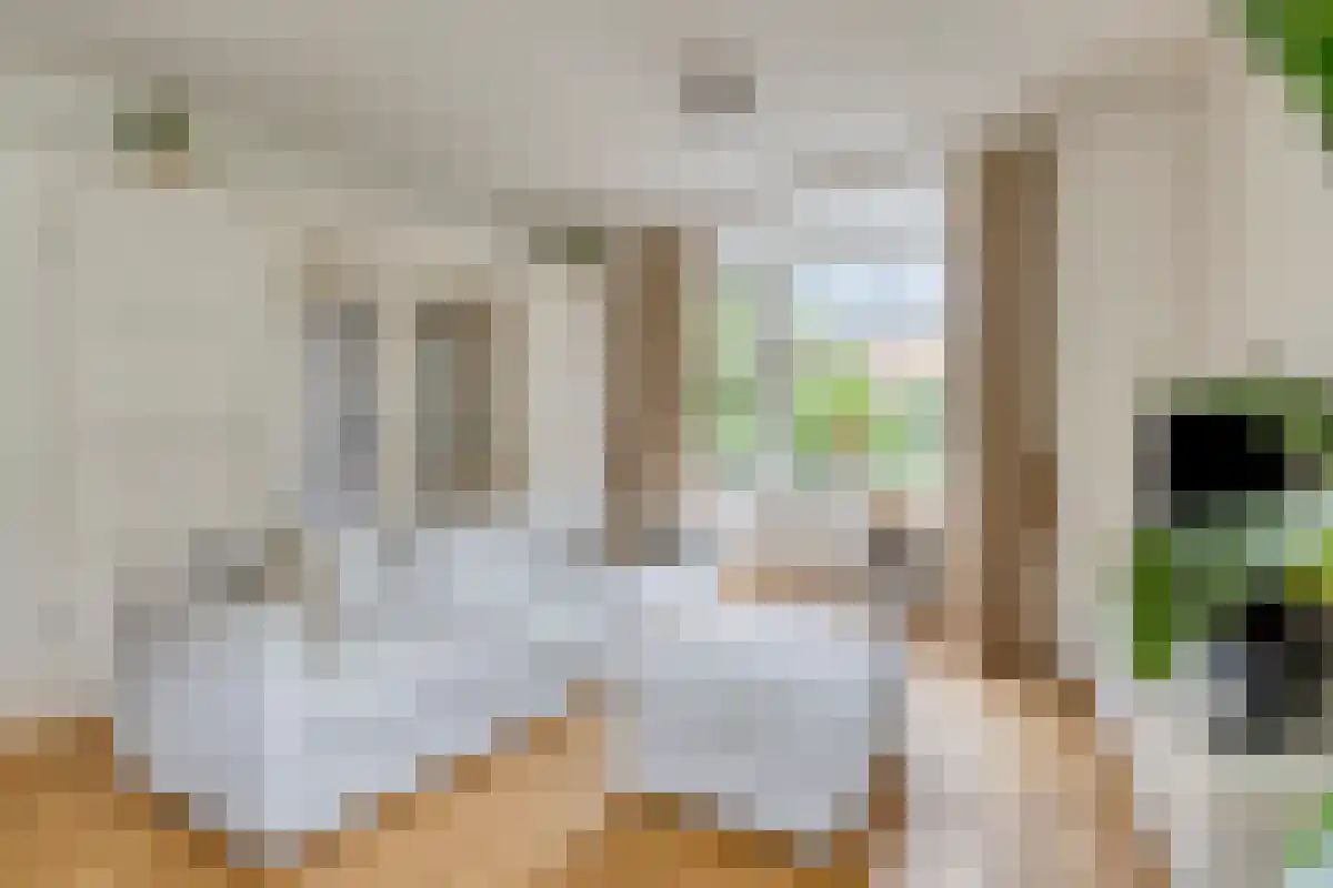 Patroclosstraat 24 Amsterdam thumbnail 5