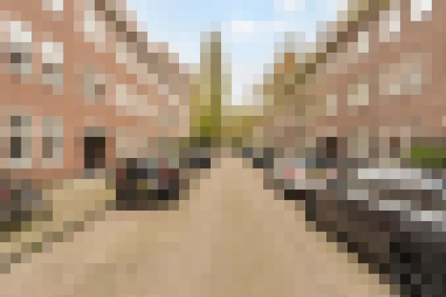Patroclosstraat 5 2 Amsterdam thumbnail 24