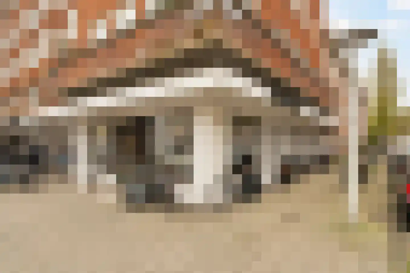 Patroclosstraat 5 2 Amsterdam thumbnail 26