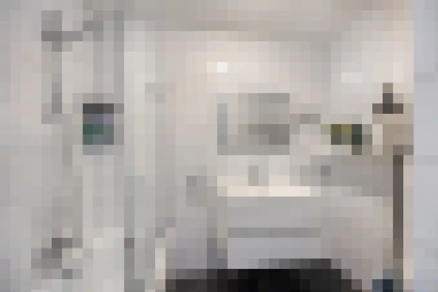 Patronaat 19 Horst thumbnail 13