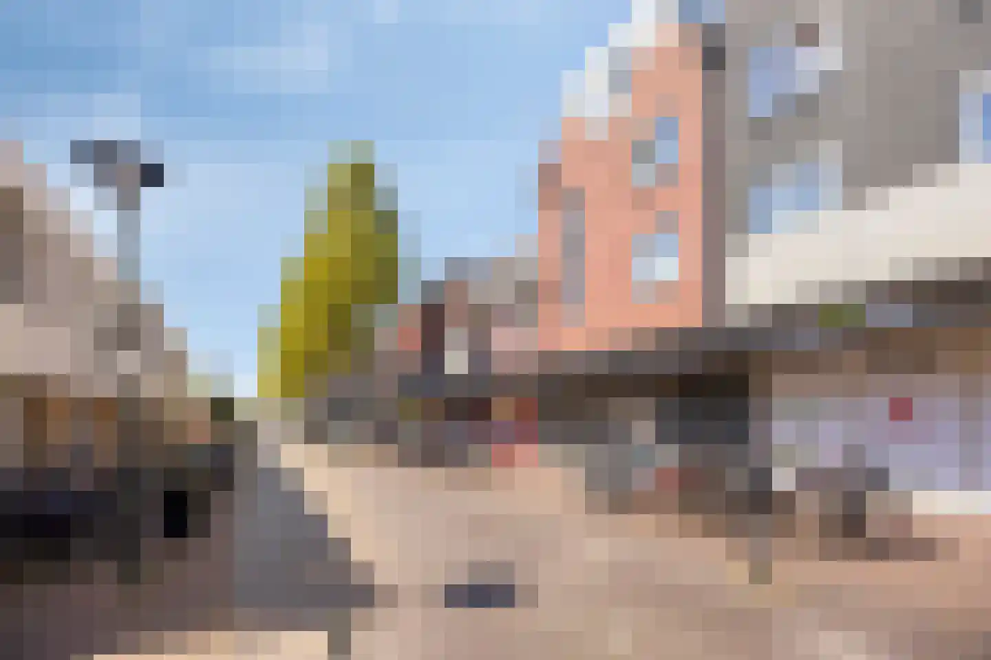 Patronaat 19 Horst thumbnail 18