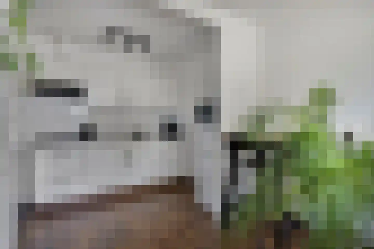 Patronaat 19 Horst thumbnail 7