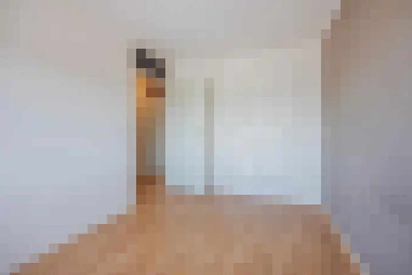 Patronaat 34 C Horst thumbnail 6
