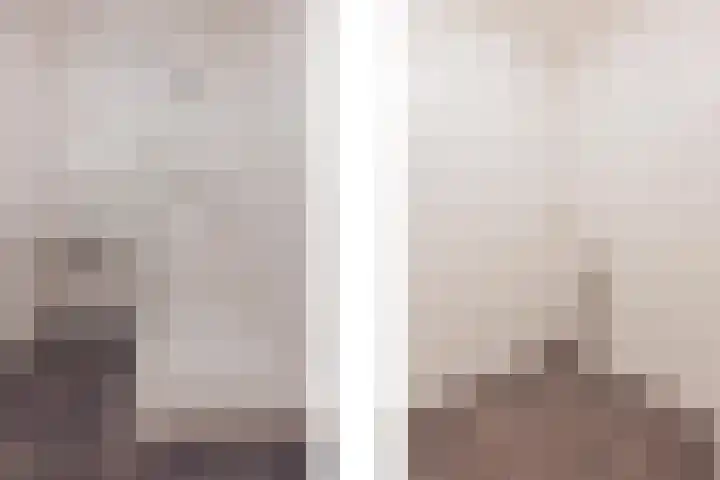 Patronaat 37 Horst thumbnail 18