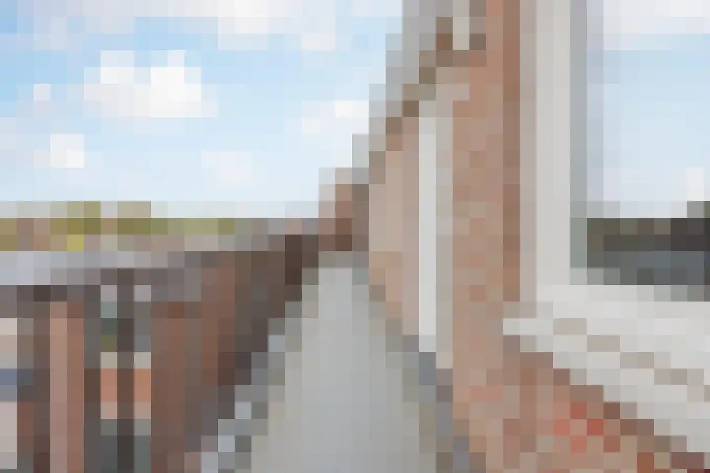 Patronaat 38 Horst thumbnail 28
