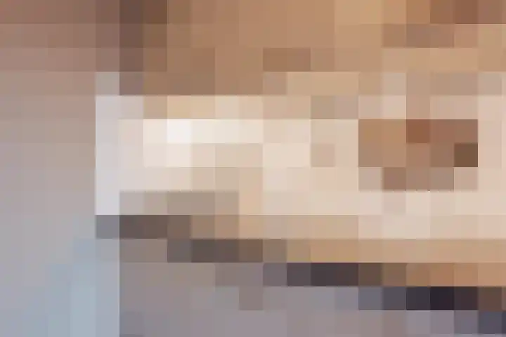 Patronaat 7 Horst thumbnail 12