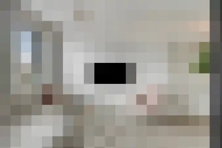 Patronaatspad 5 Berlicum thumbnail 10