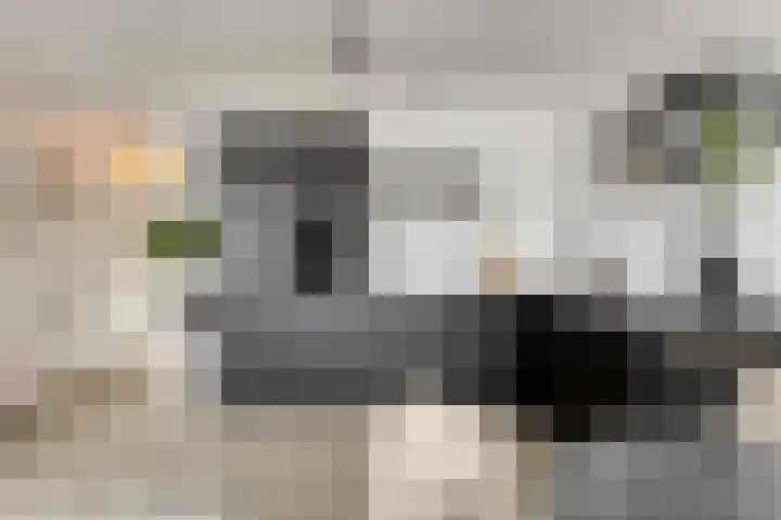 Patronaatspad 5 Berlicum thumbnail 12