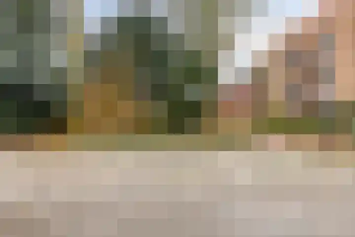 Patronaatspad 5 Berlicum thumbnail 18