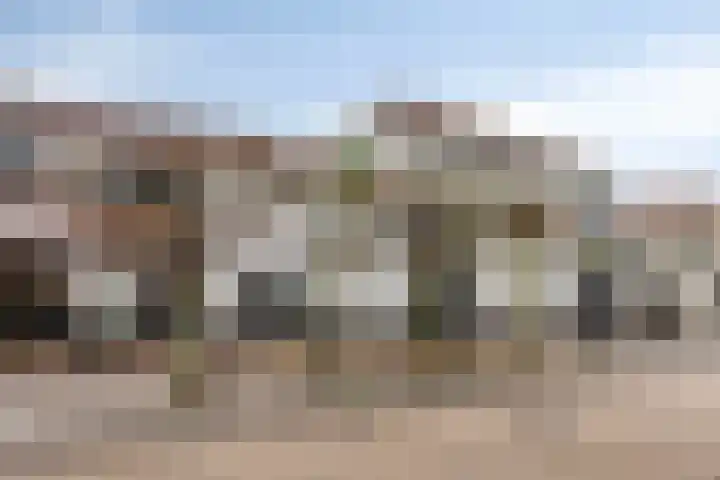 Patronaatspad 5 Berlicum thumbnail 23