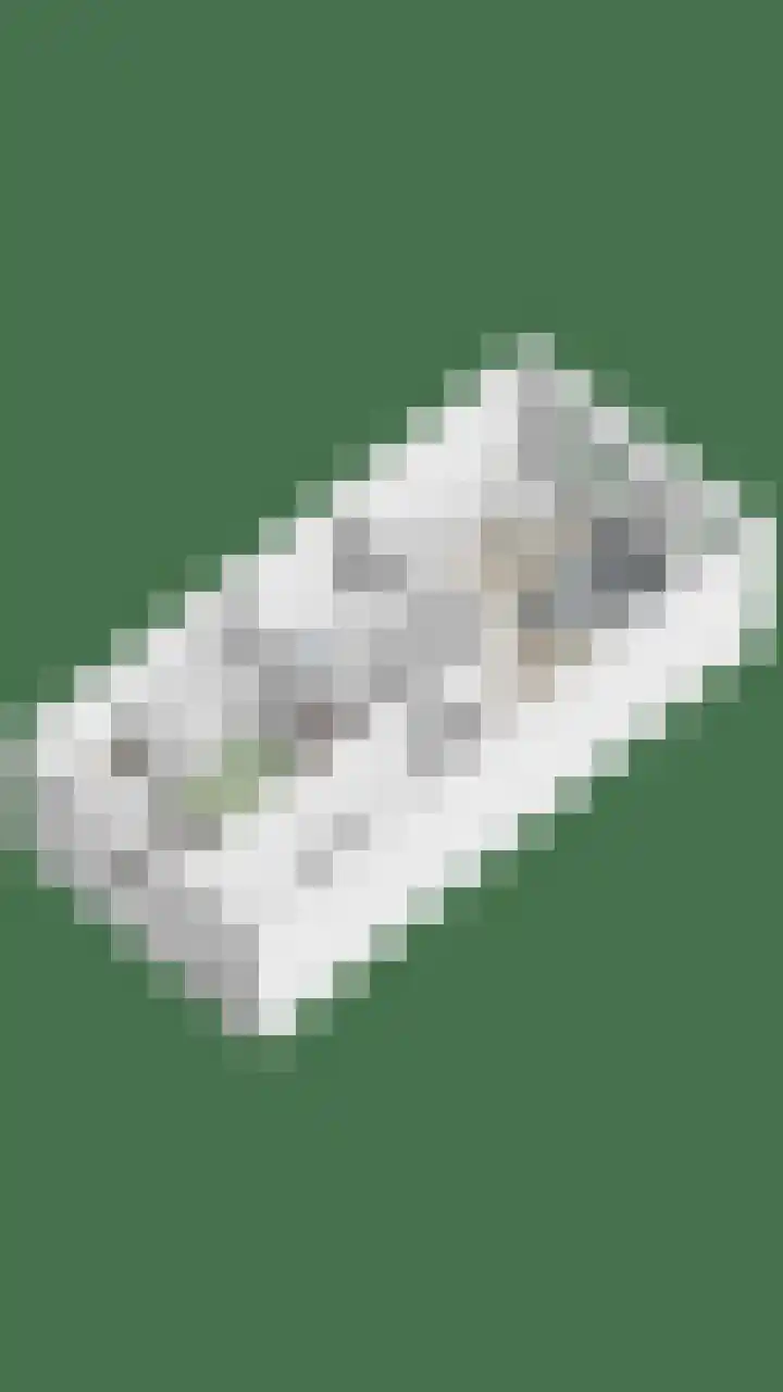 Patronaatspad 5 Berlicum thumbnail 26