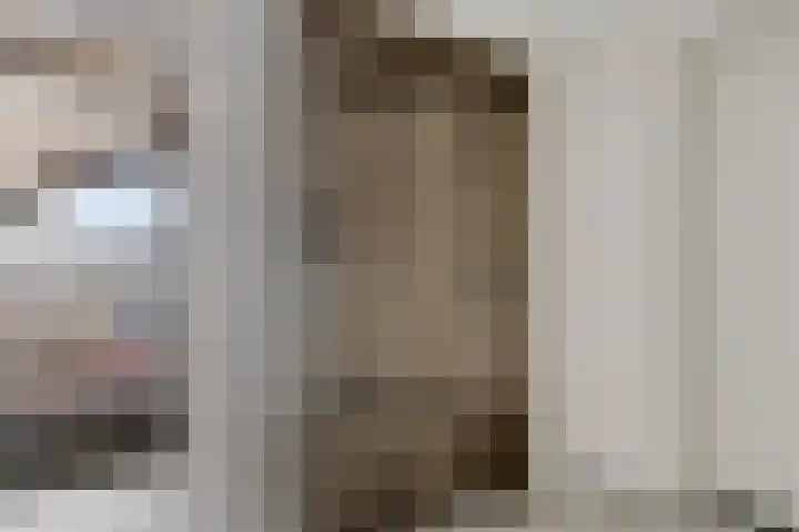 Patronaatspad 5 Berlicum thumbnail 5