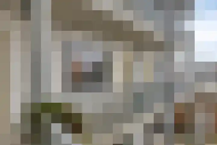Patronaatspad 5 Berlicum thumbnail 6