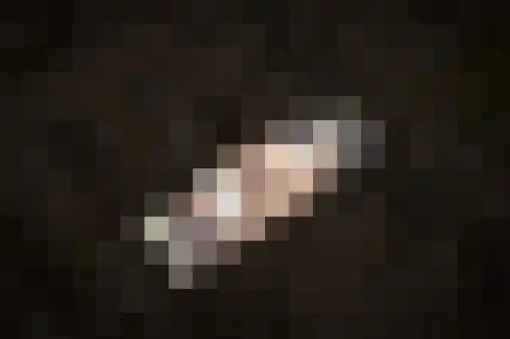 Patronaatspad 6 Beneden-Leeuwen thumbnail 34