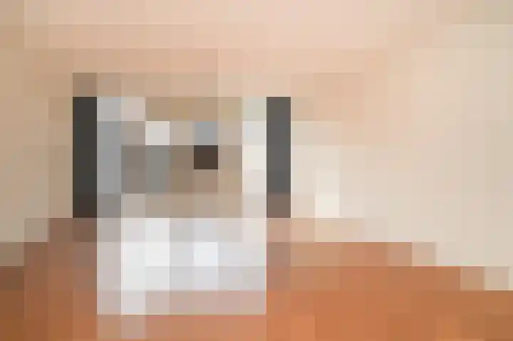 Patronaatspad 6 Beneden-Leeuwen thumbnail 4