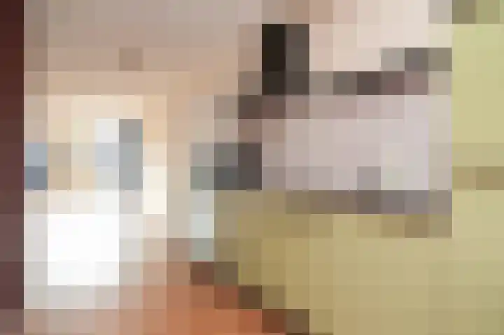 Patronaatspad 6 Beneden-Leeuwen thumbnail 6