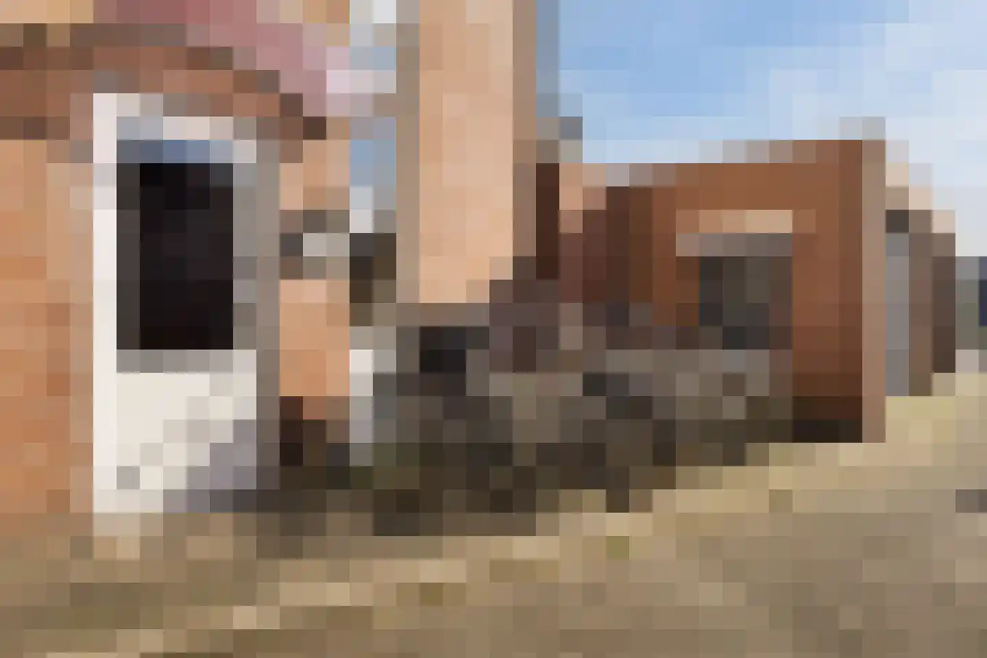 Patronaatsstraat 3 f Lichtenvoorde thumbnail 6