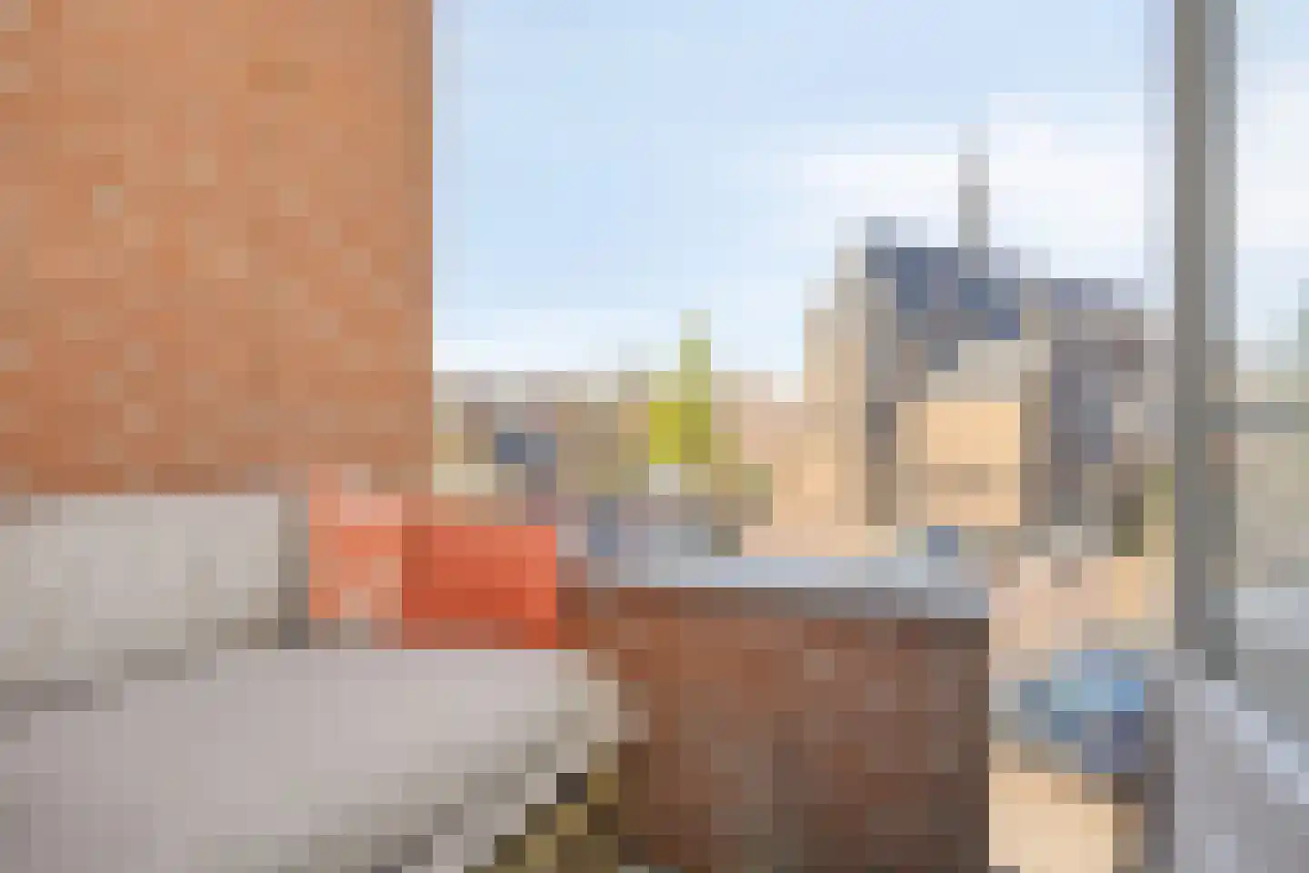 Patronaatsstraat 3 h Lichtenvoorde thumbnail 31