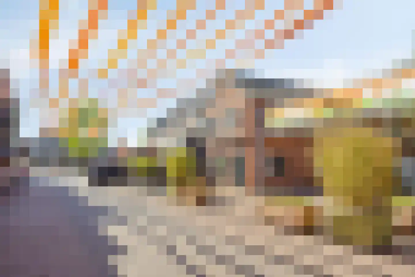 Patronaatsstraat 3 h Lichtenvoorde thumbnail 36