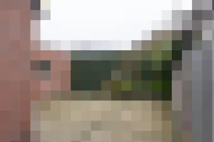 Patronaatsstraat 38 Lichtenvoorde thumbnail 34