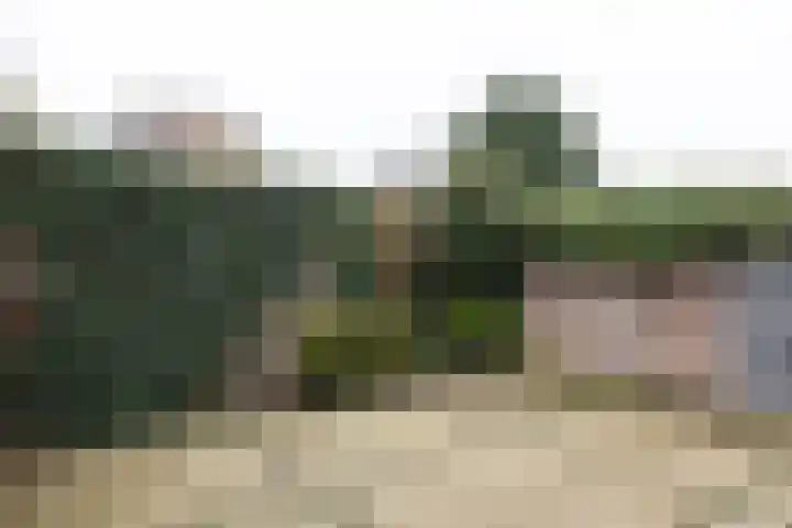 Patronaatsstraat 38 Lichtenvoorde thumbnail 38