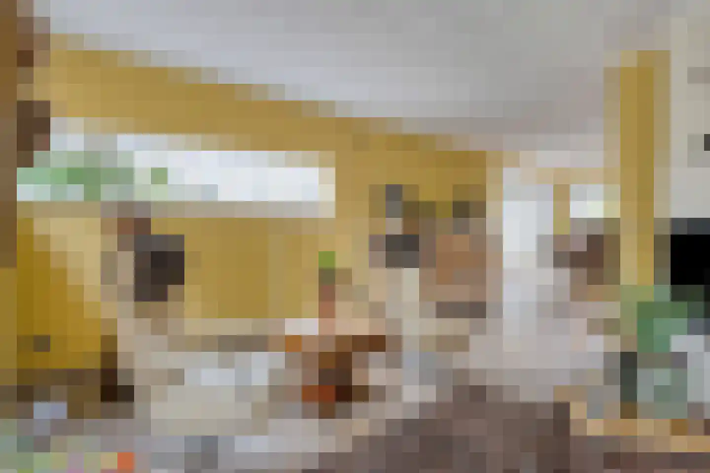 Patronaatstraat 13 Made thumbnail 17