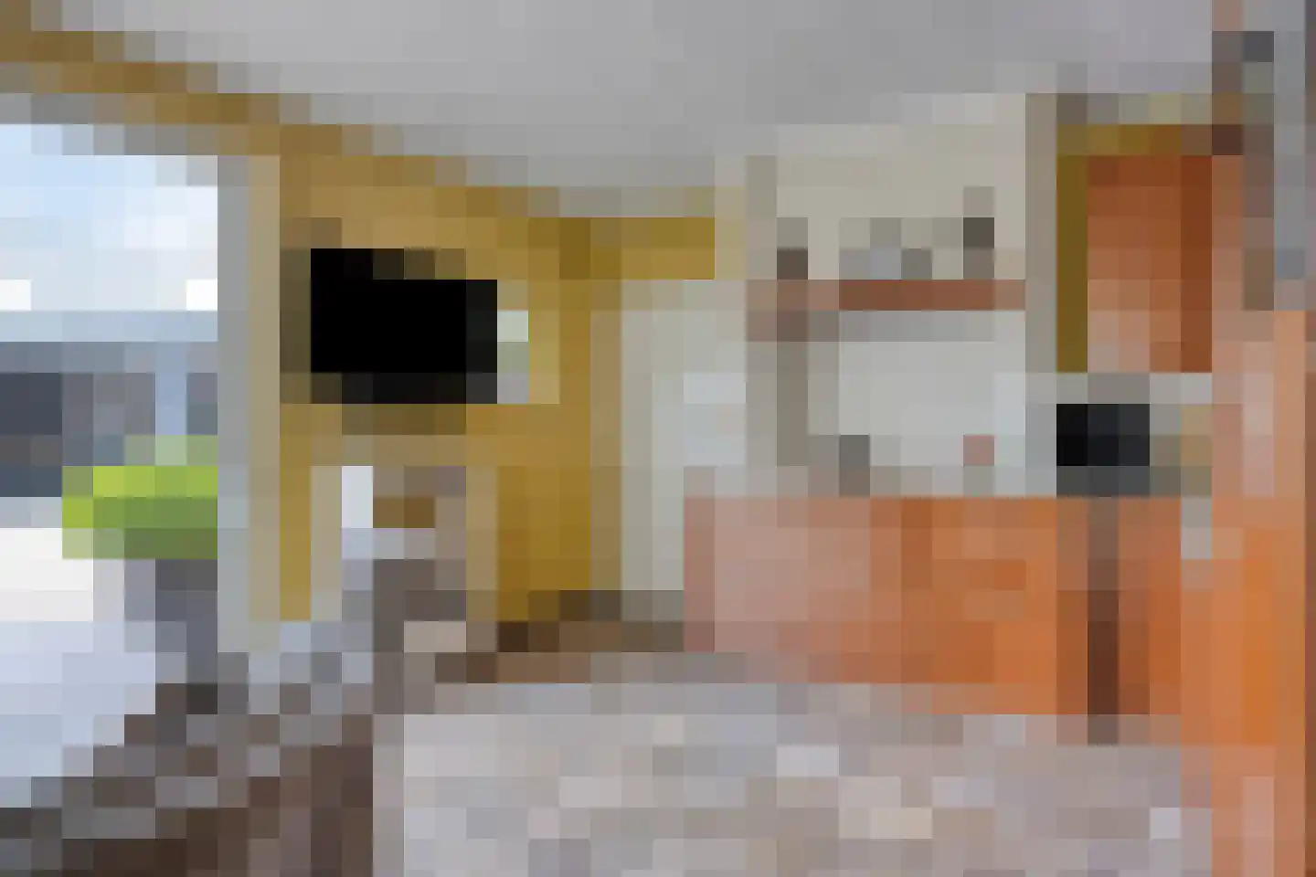 Patronaatstraat 13 Made thumbnail 22