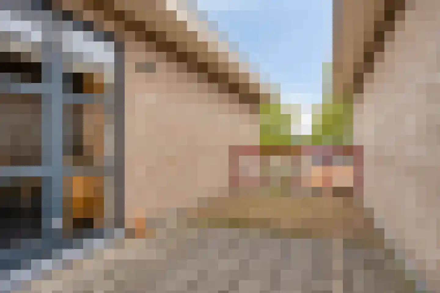 Patronaatstraat 14 A Made thumbnail 39