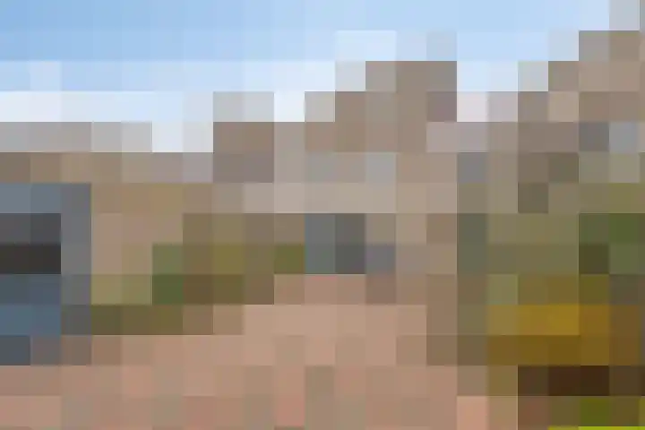 Patronaatstraat 14 Made foto 2