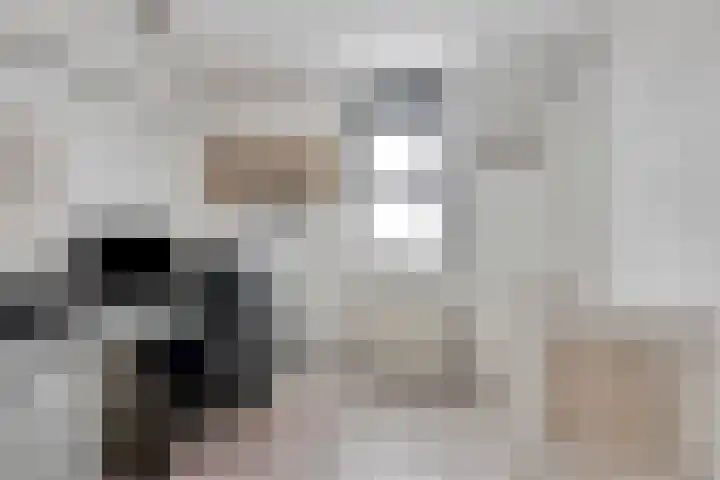 Patronaatstraat 14 Made thumbnail 26