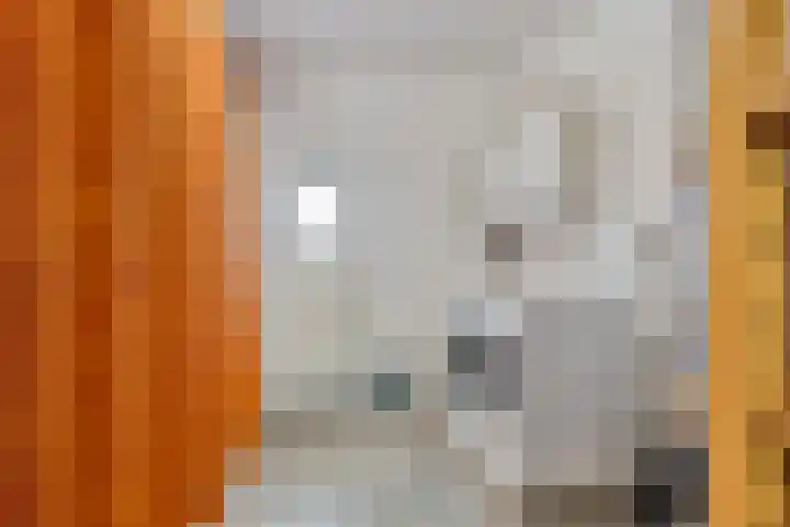 Patronaatstraat 14 Made thumbnail 34